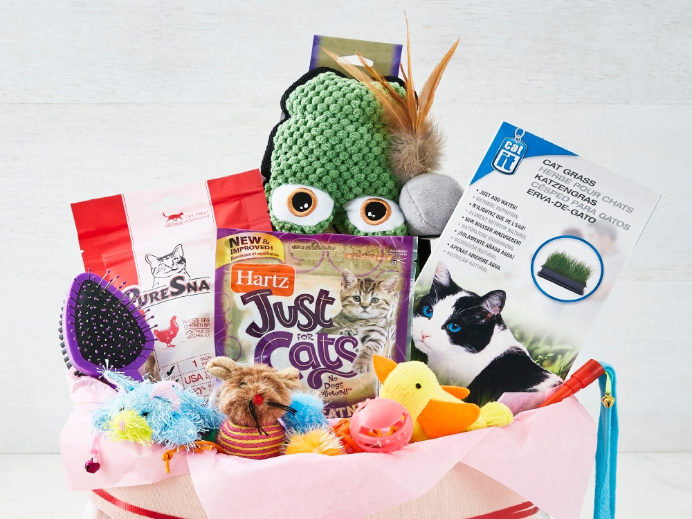 Pet Supplies, Accessories for Dog, Cat, and Small Animals.