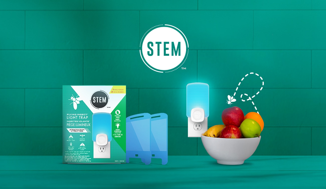 STEM for bugs
