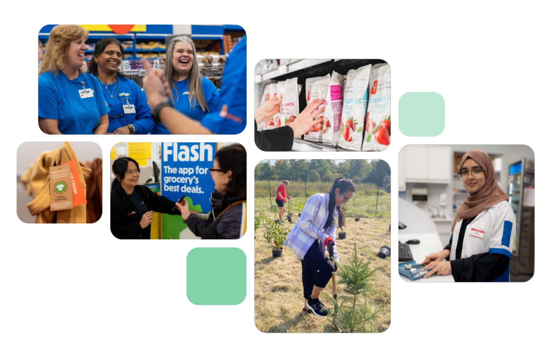 A collage of images representing different areas of our sustainability journey