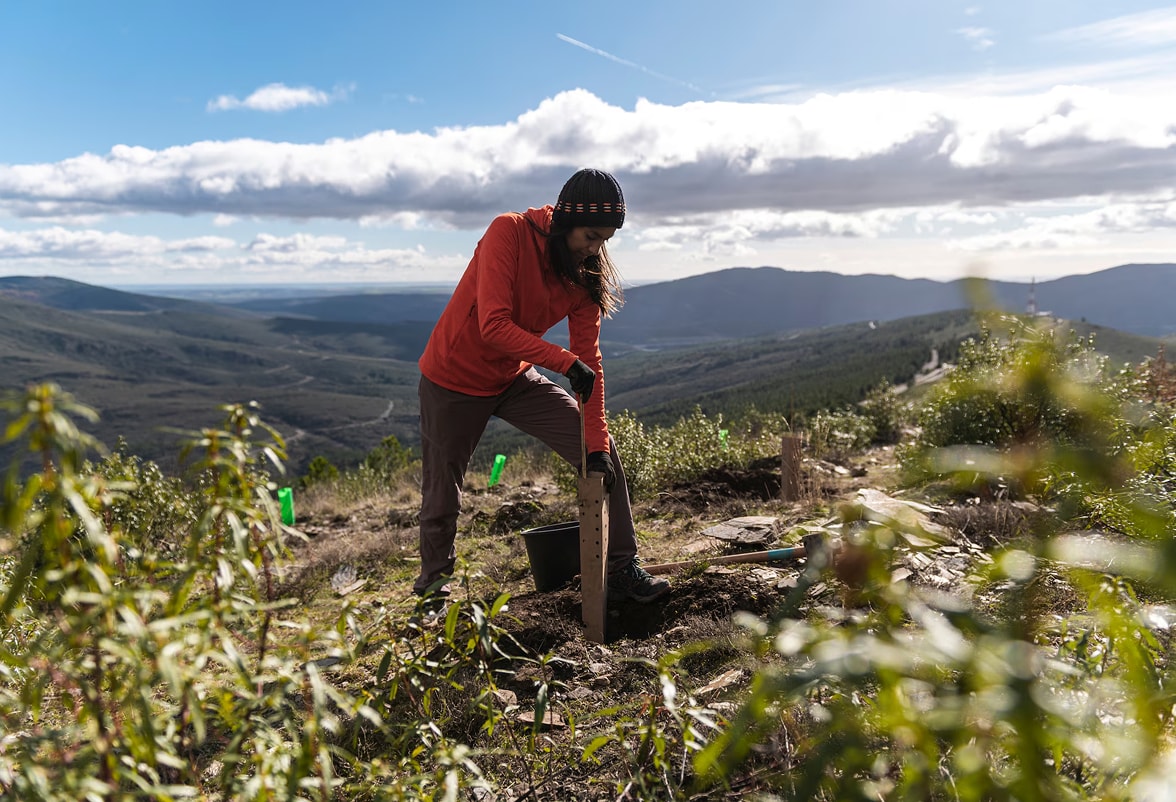 Climate action