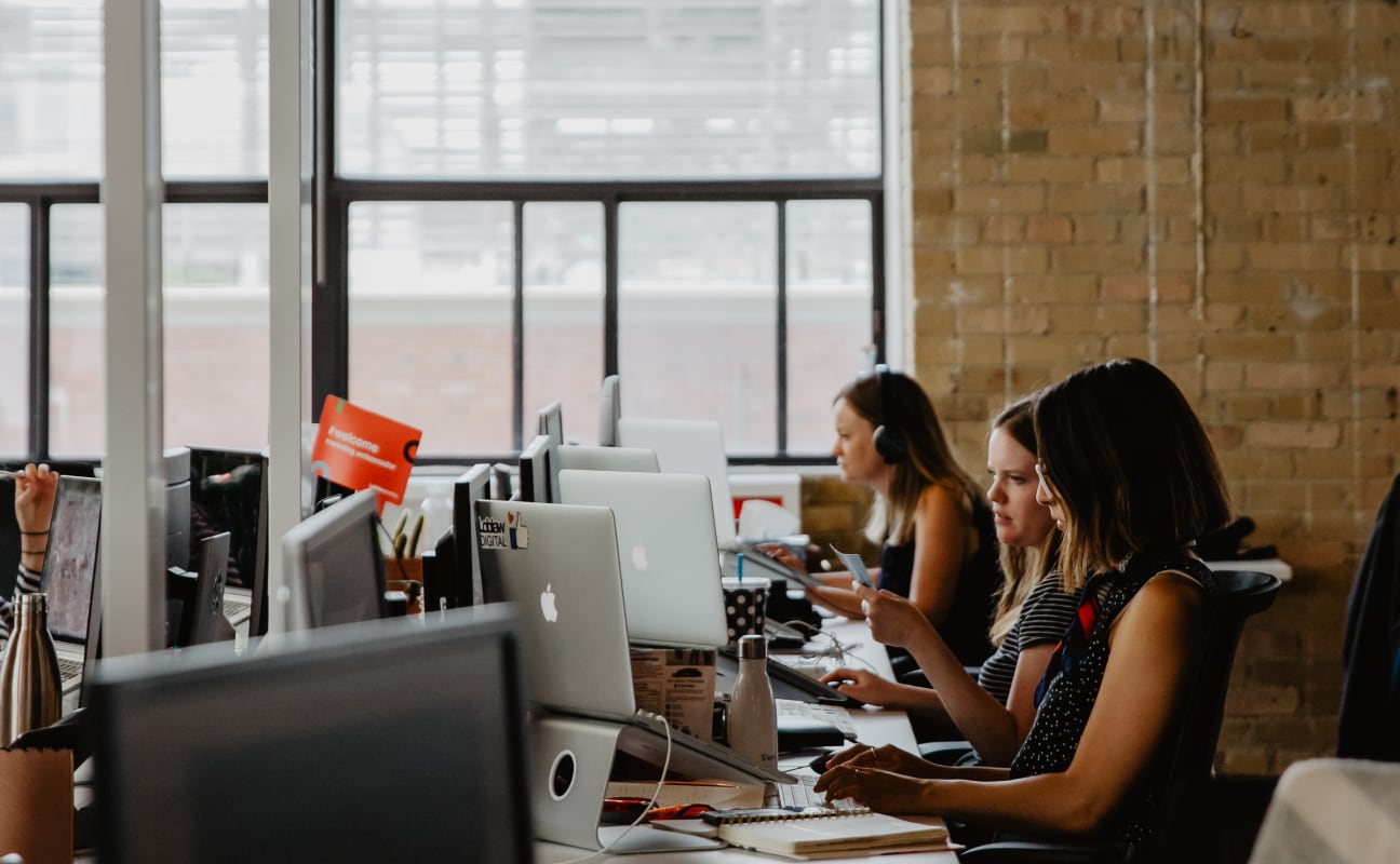 Row of employees working in an open concept office with big windows and brick walls.