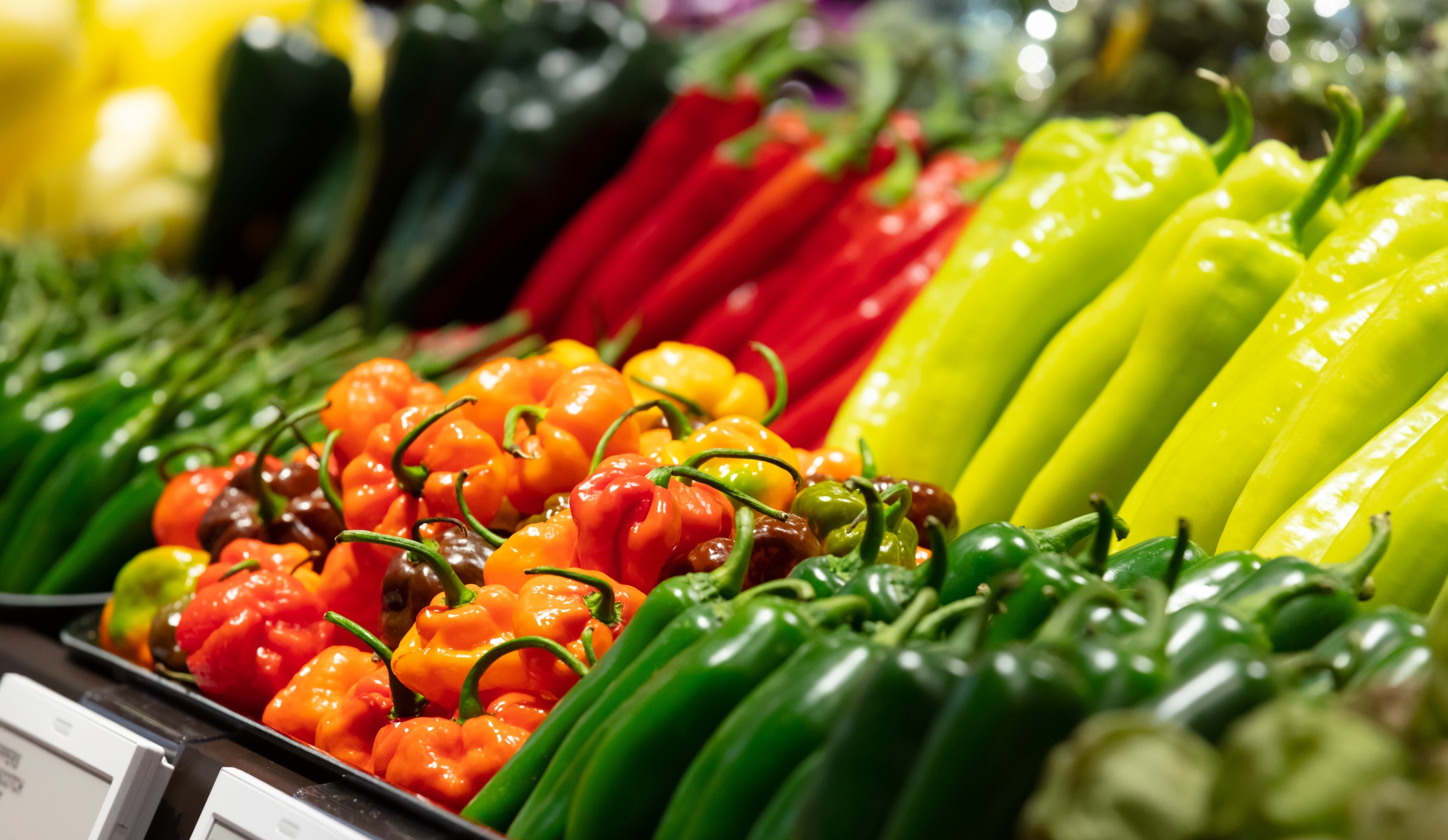 Un assortiment de poivrons dans une épicerie, notamment des poivrons verts, jaunes, orange et rouges.