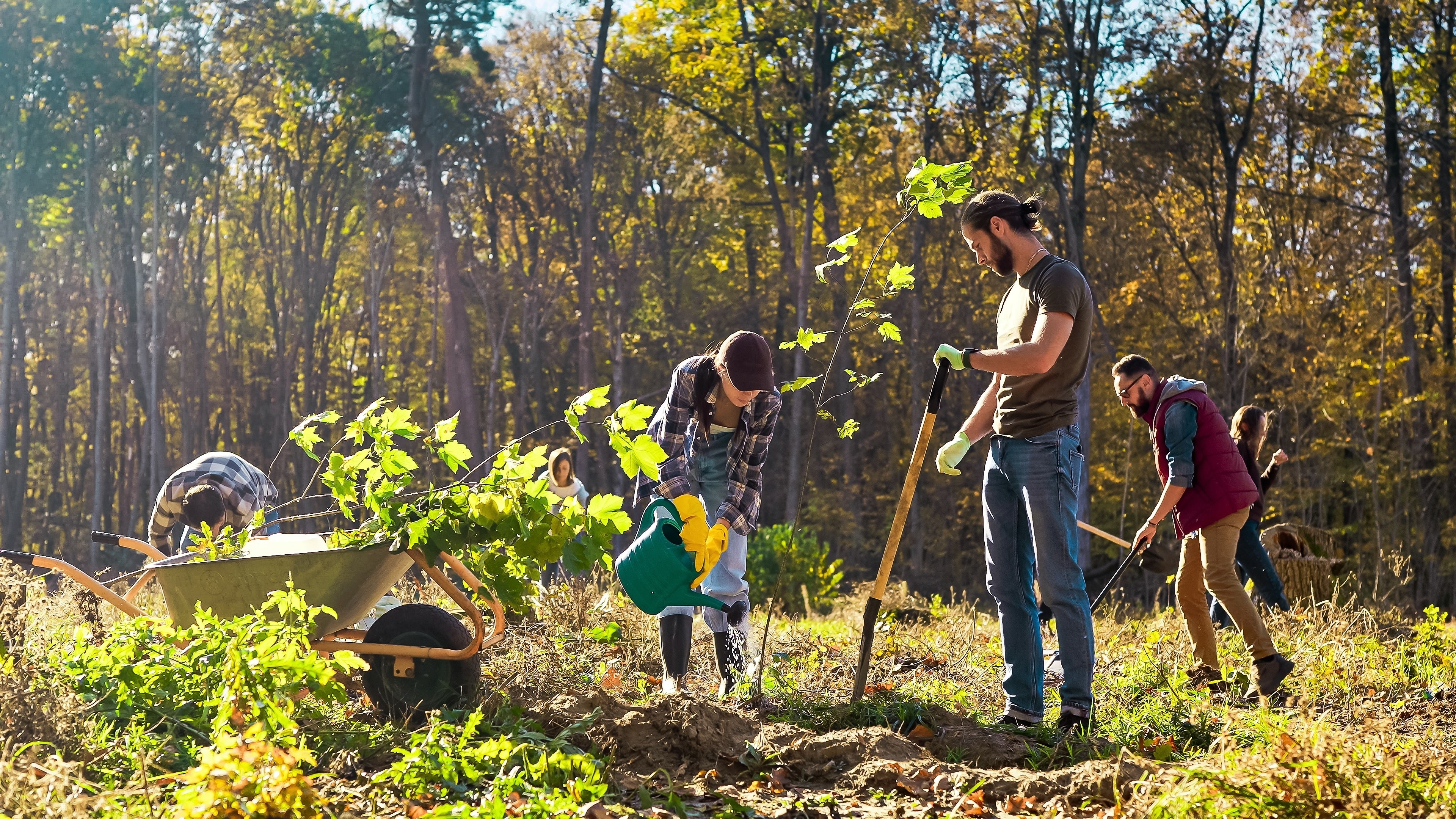 Six personnes travaillent ensemble dans une forêt pour planter des arbres. Une brouette se trouve à proximité. 