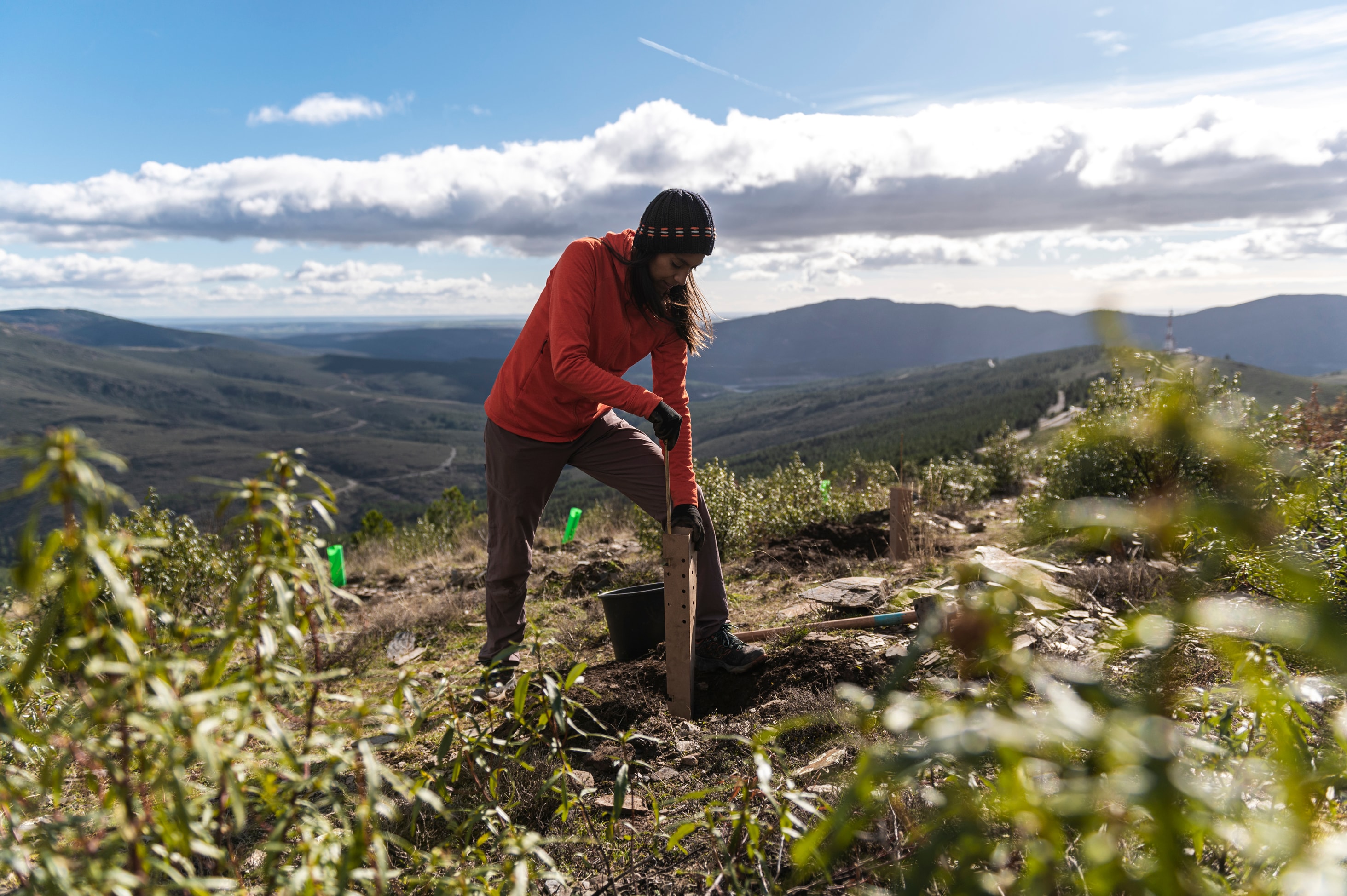 A woman wearing a red sweater and grey pants is planting a tree. She is surrounded by mountains. 