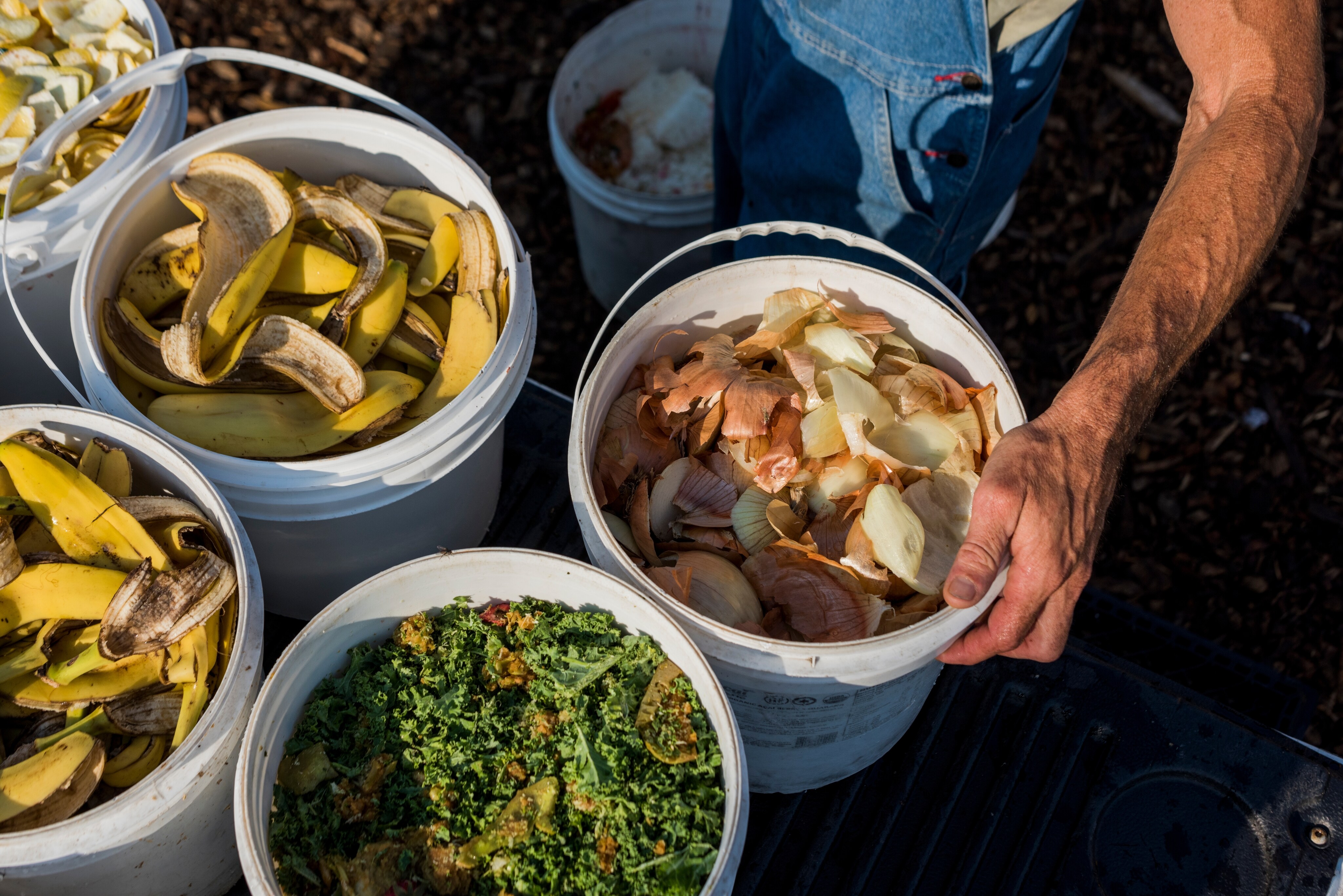 Food Waste Loblaw Companies Ltd 