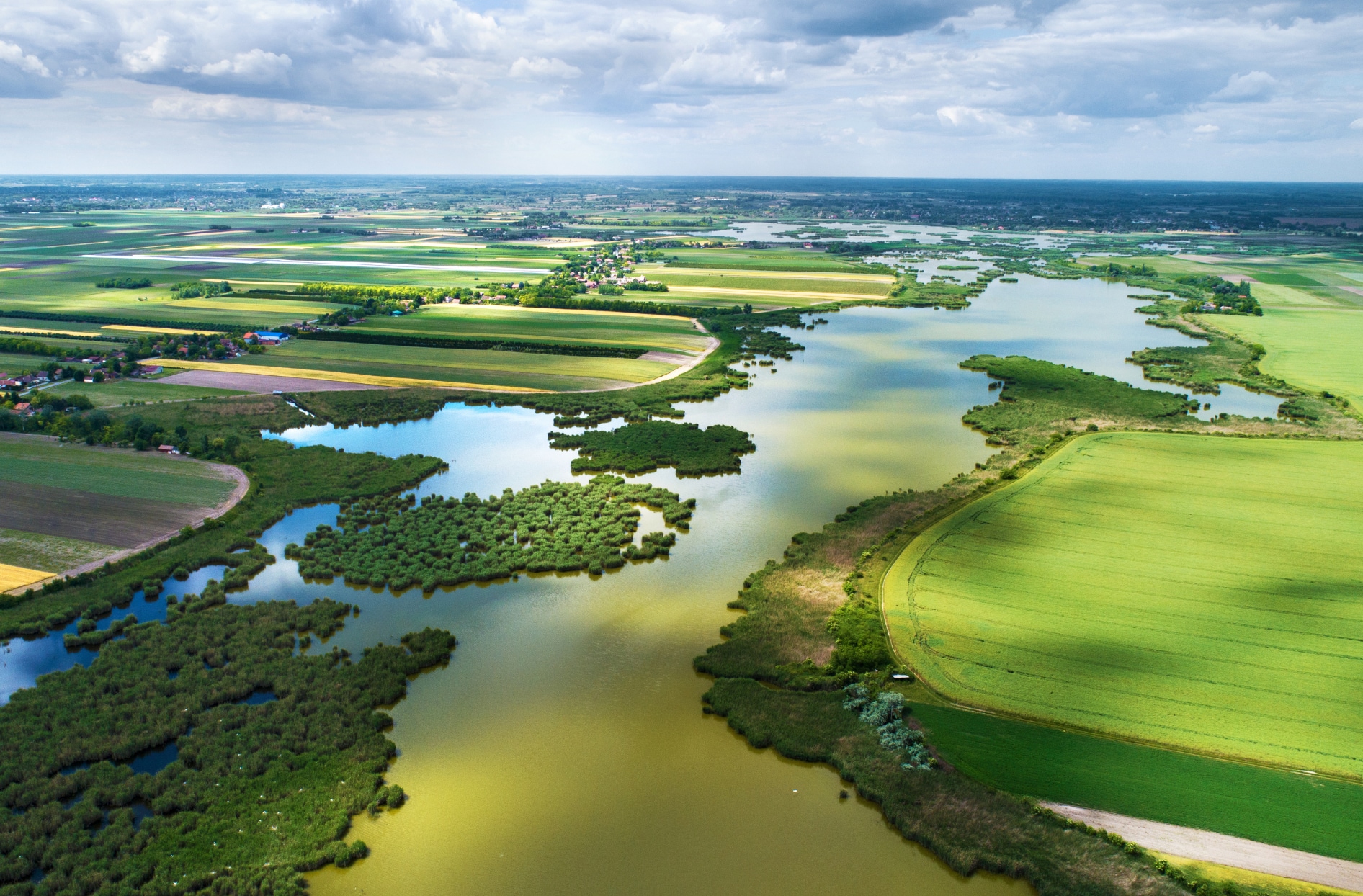 Une image de paysage montrant des arbres, de l’herbe et des plans d’eau.  