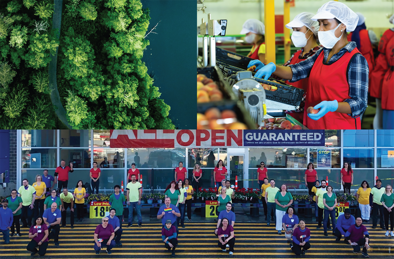 Top left, forest; top right, store employees sourcing products; bottom, employees standing outside store