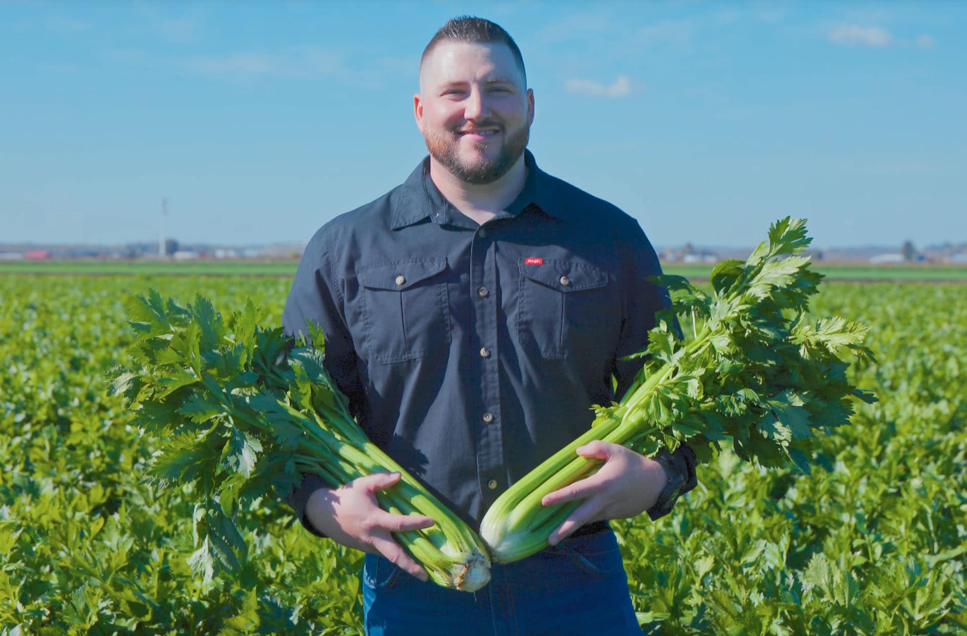 Produce Sourcing Director Tyler Walker posing proudly with fresh celery stalks from the fields at Hillside Gardens. 