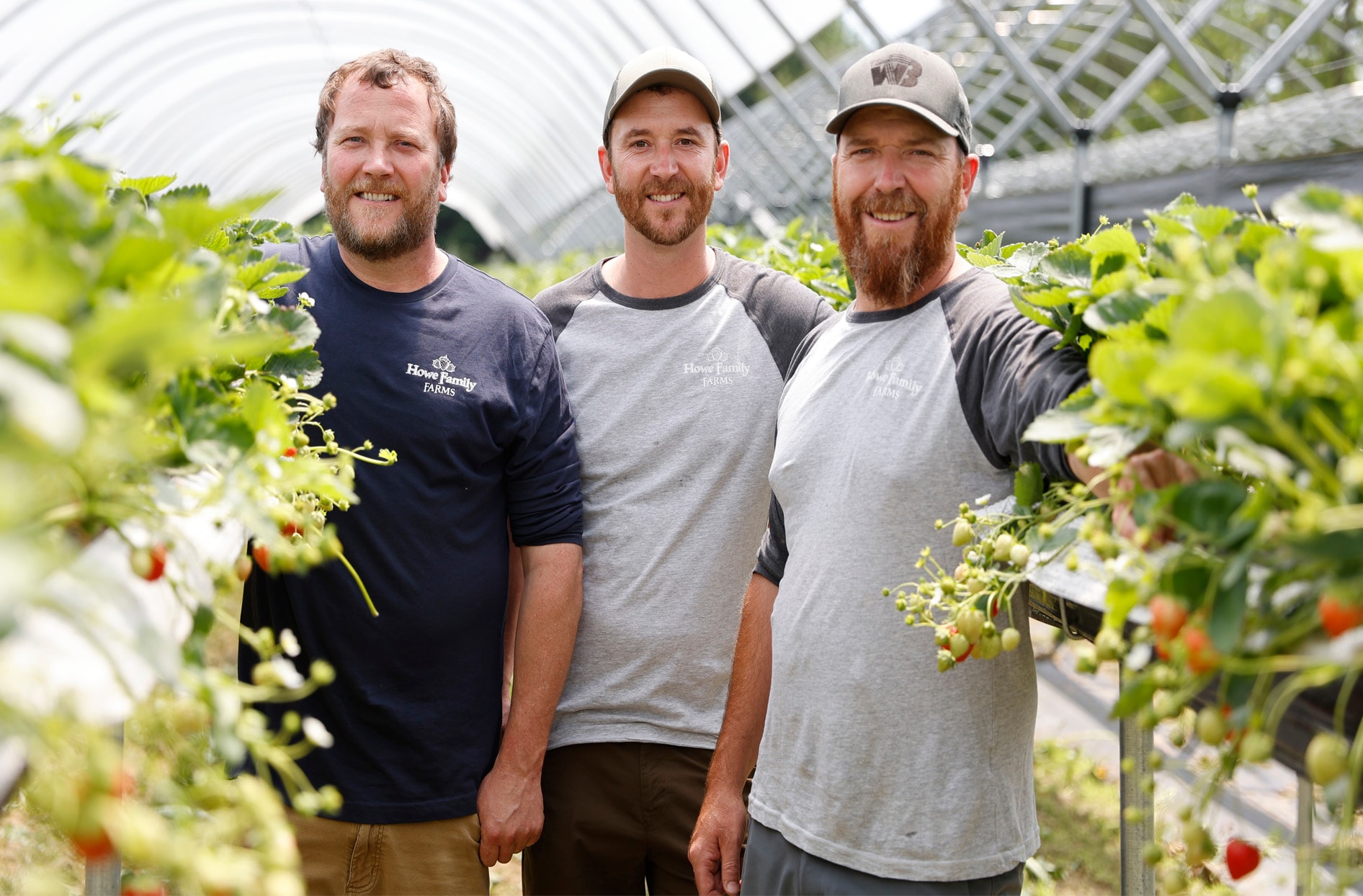 Les propriétaires Rick, Kevin et Ryan Howe posant fièrement devant leurs vignes de fraises poussant dans les champs de leur entreprise familiale les Fermes Howe. 