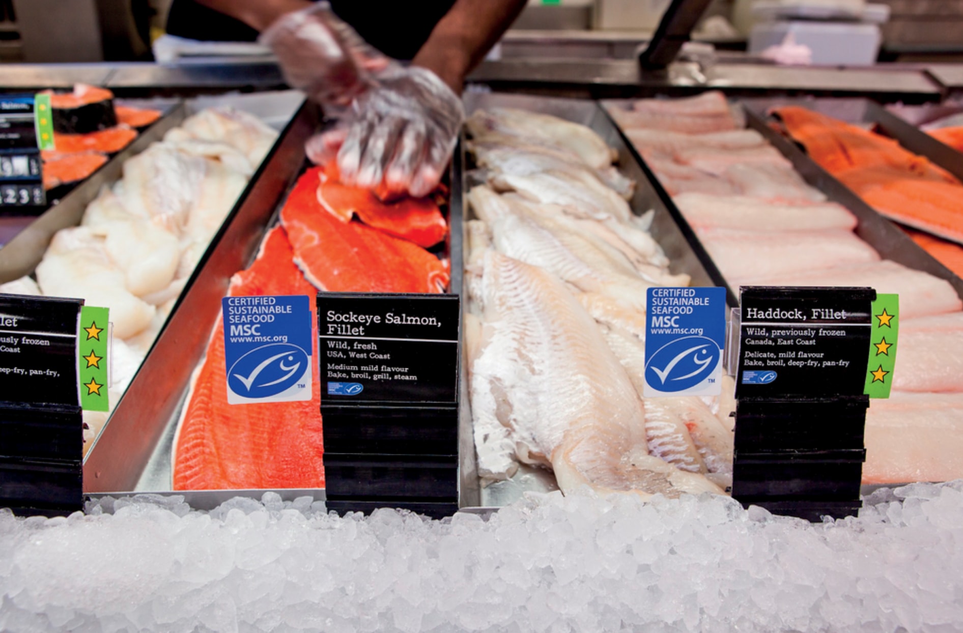 Une photo promotionnelle du saumon sockeye de Loblaw est présentée sur un plateau. 