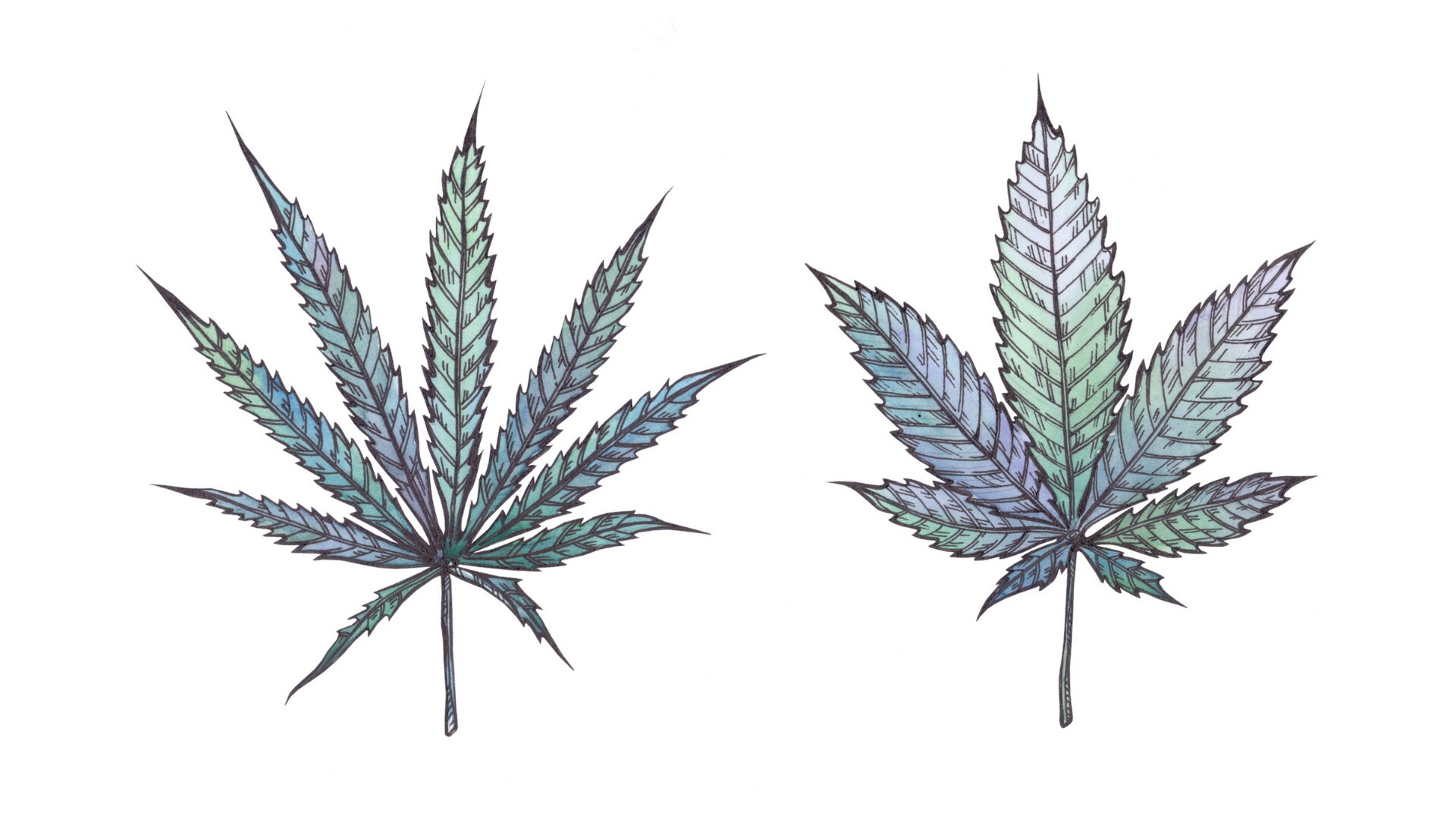 Medical Cannabis