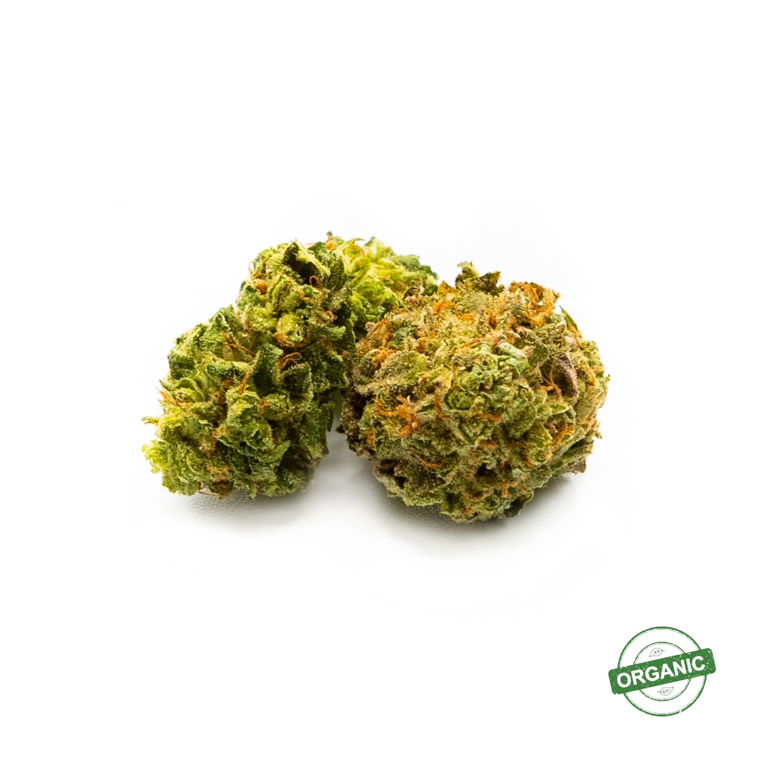 TGOD Organic Sugar Bush Cannabis Flower by TGOD Cannabis Médical de