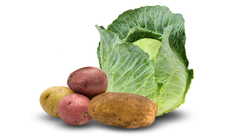 Warba, red, yellow and russet potatoes, and green cabbage.