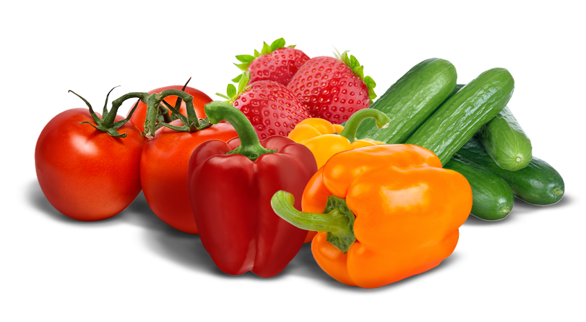 tomatoes-on-the-vine, red, yellow & orange sweet bell peppers, English cucumbers, mini cucumbers, and strawberries.